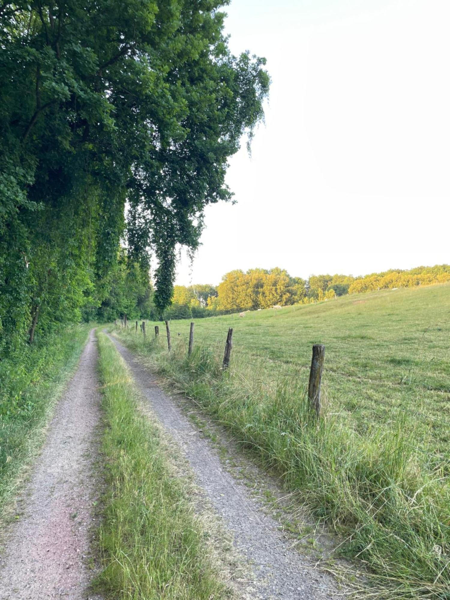 Steffens Herrnmuehle Alzenau in Unterfranken Exterior foto